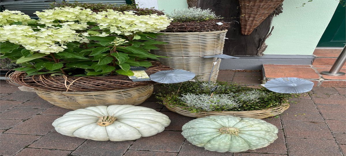 Ihr Blumenladen in Hohenkirchen